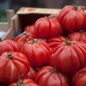 A close-up of vibrant red heirloom tomatoes on display at a market stand.